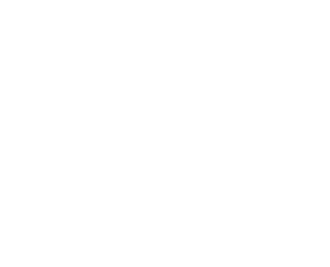 teamLab Jungle Light Art and Music